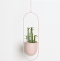 Wall Plant Hanger with Adjustable Chain for Minimalist Interior Design-Home Decor > Decorative Accessories-casanuva-Mint Green-Oval-casanuva