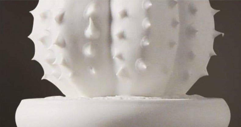 White Porcelain Cactus Collection-Home Decor > Decorative Accessories-casanuva-casanuva